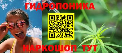 соль ск Будённовск