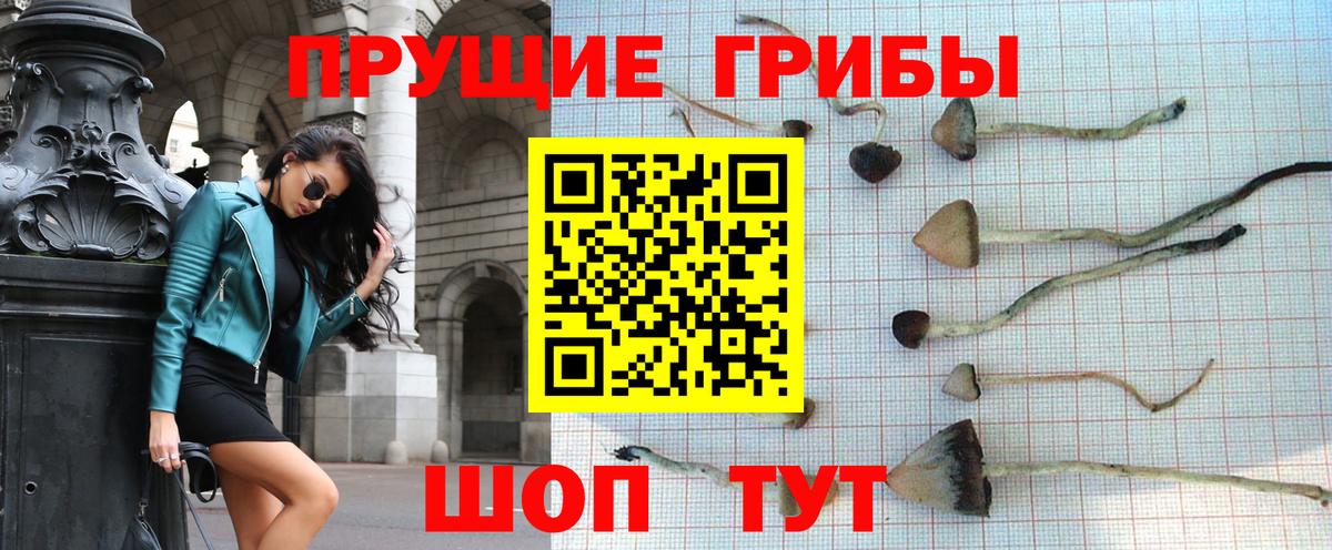 Галлюциногенные грибы Cubensis  Псилоцибиновые грибы Magic Shrooms  Вход с VPN  Миллерово 