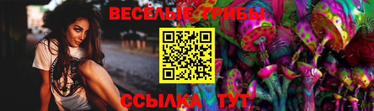Псилоцибиновые грибы прущие грибы Миллерово